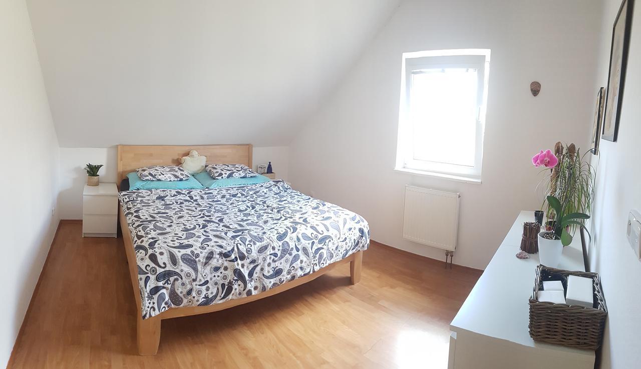 Vila Na Skalce Česká Kamenice 外观 照片