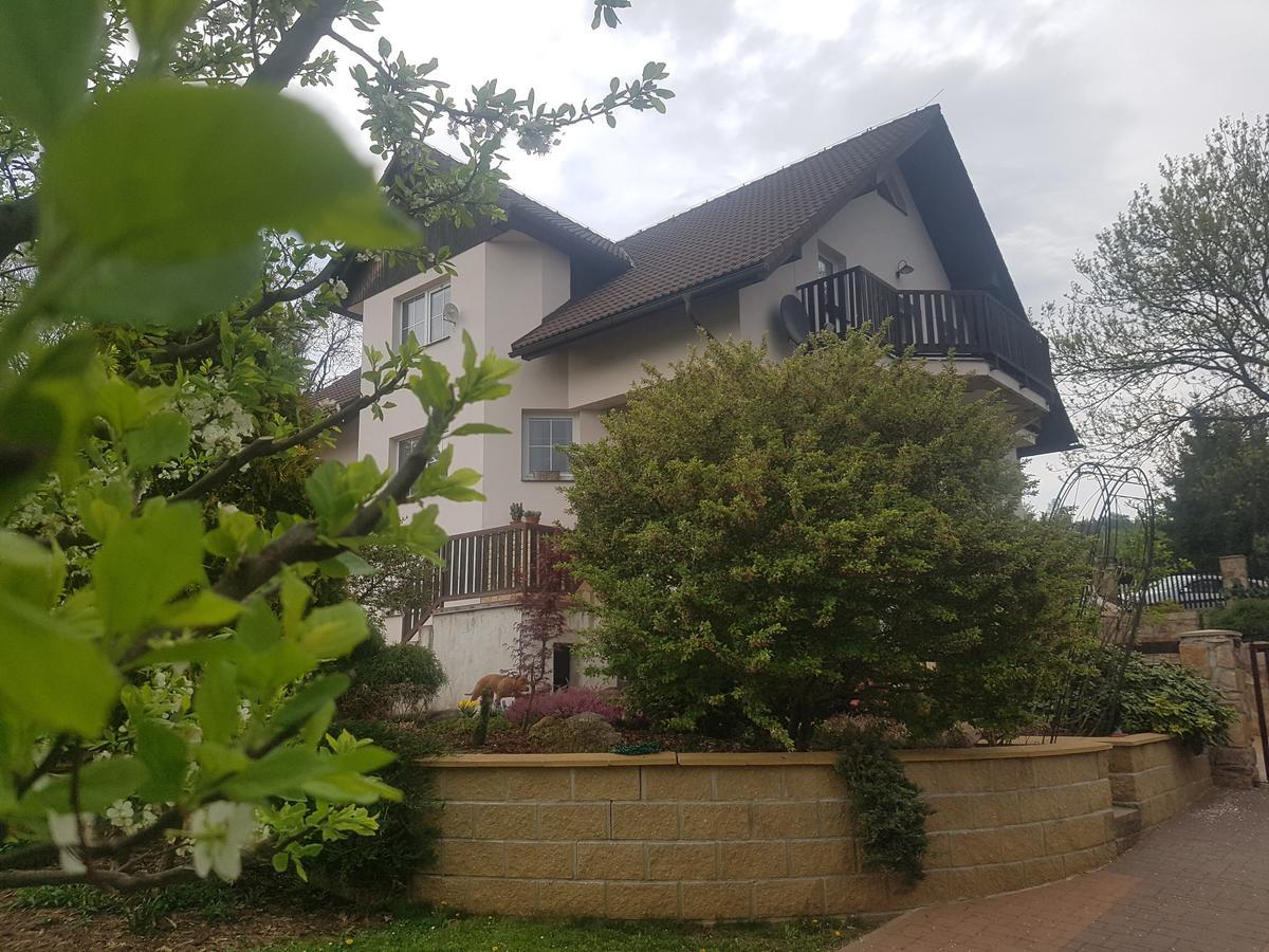 Vila Na Skalce Česká Kamenice 外观 照片