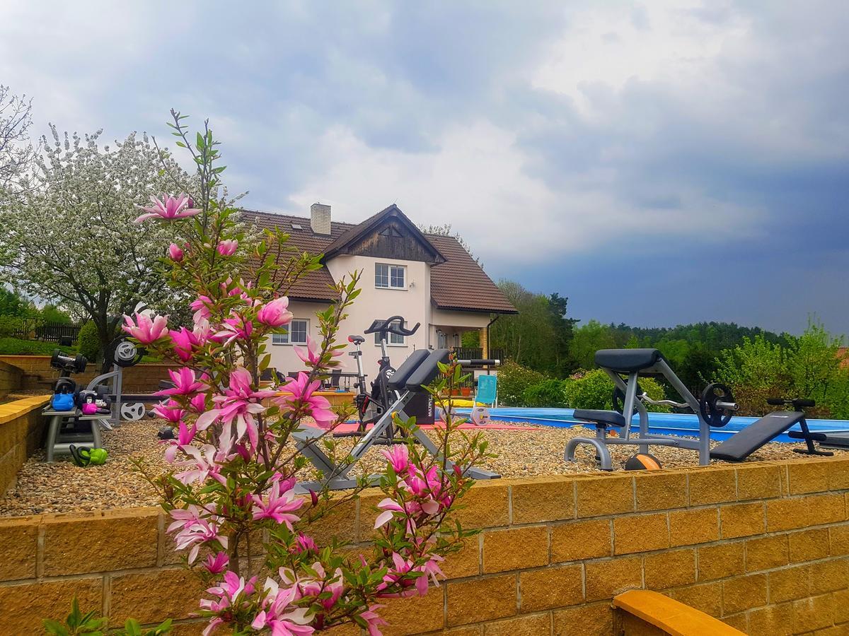 Vila Na Skalce Česká Kamenice 外观 照片