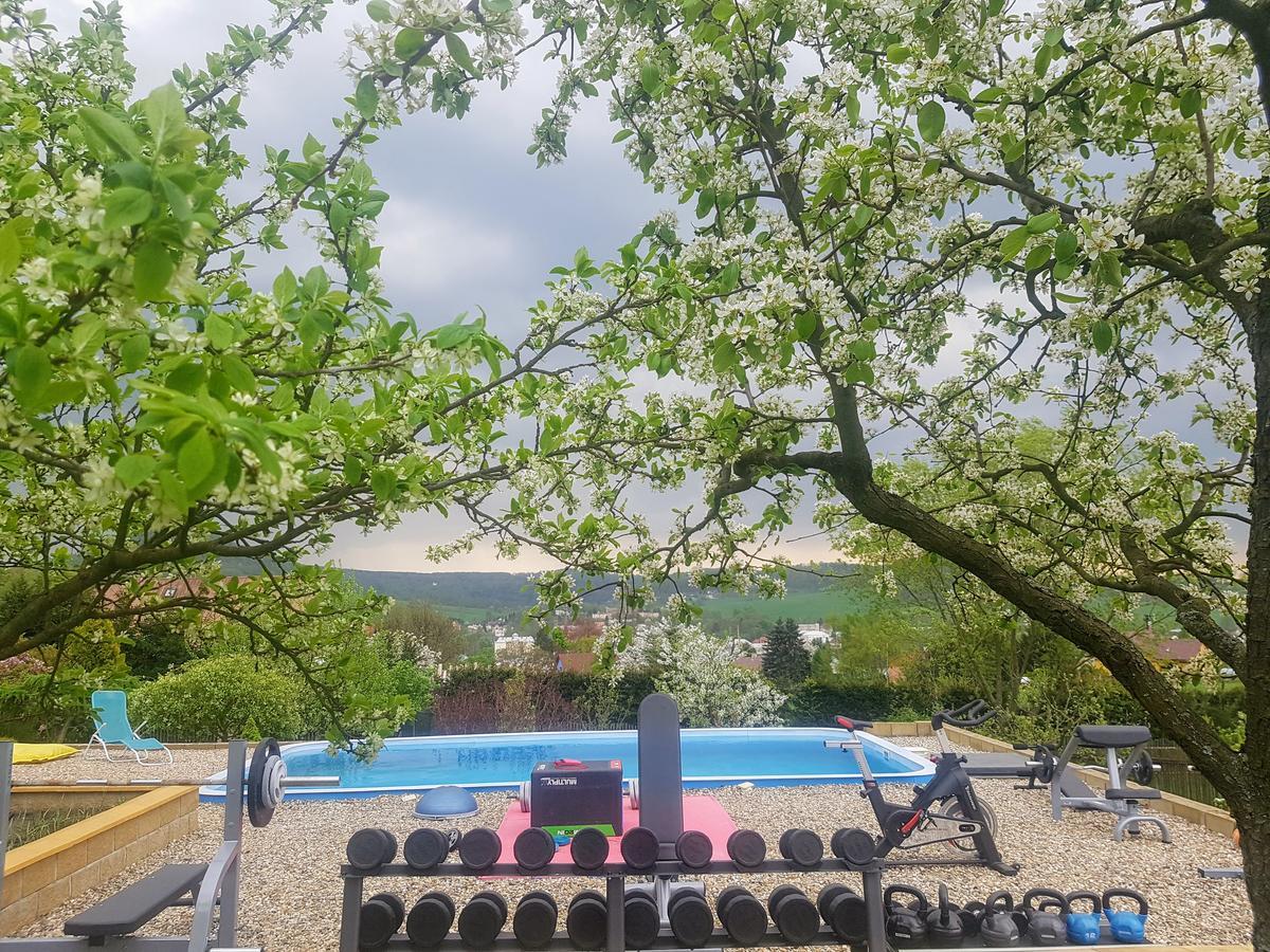 Vila Na Skalce Česká Kamenice 外观 照片